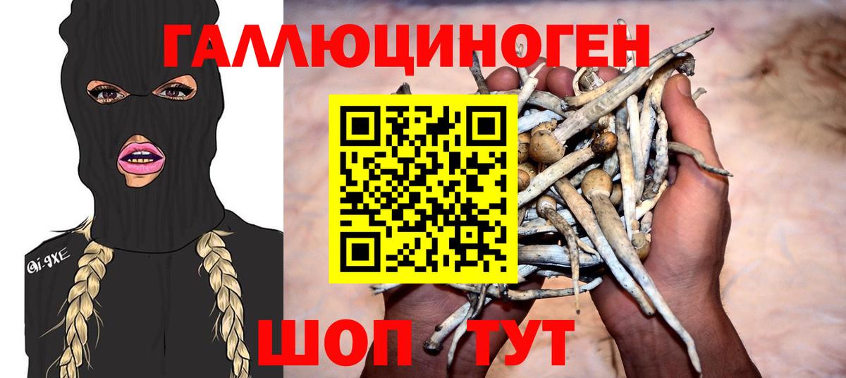 Галлюциногенные грибы MAGIC MUSHROOMS  Вход с VPN  Якутск  наркотики  Галлюциногенные грибы MAGIC MUSHROOMS 