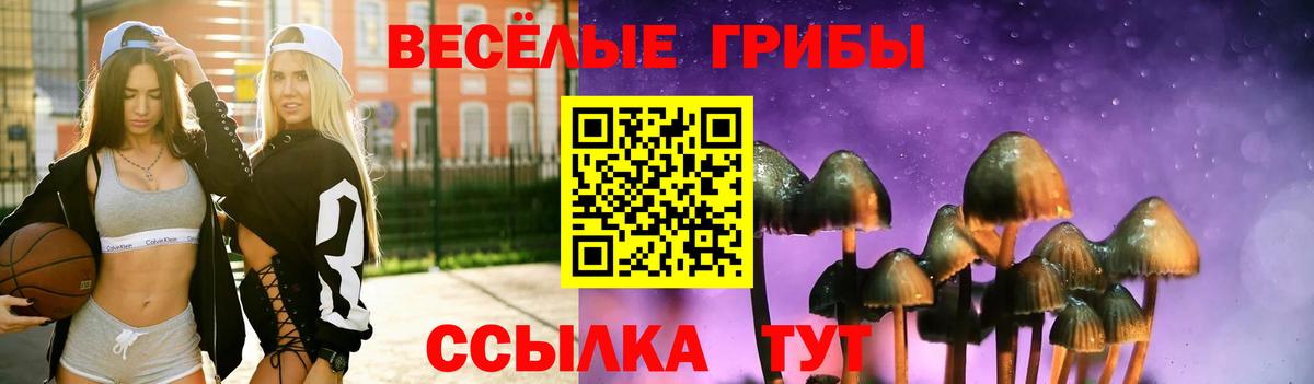 Псилоцибиновые грибы Magic Shrooms Якутск